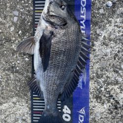 イチノ兄弟、釣果!