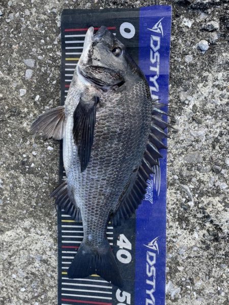 イチノ兄弟、釣果!