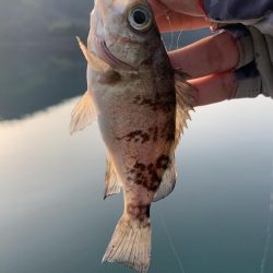 このエリアは私が投稿します☆