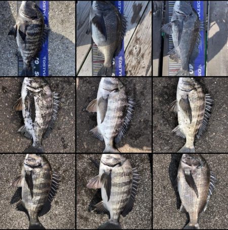 イチノ兄弟、釣果!