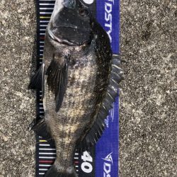 イチノ兄弟、釣果!