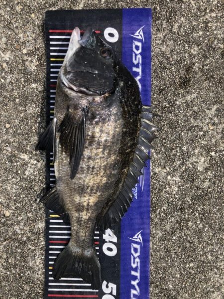 イチノ兄弟、釣果!