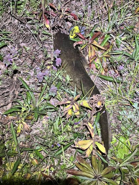 会社の近くの川で