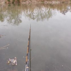 紀ノ川 ヘラブナ釣り 40cm前後✖3枚