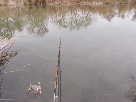 紀ノ川 ヘラブナ釣り 40cm前後✖3枚