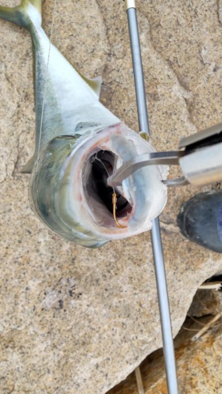 ヒラメ狙いでまさかの・・