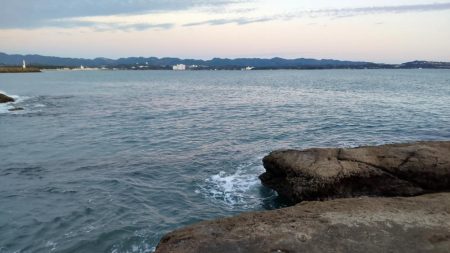 まさかのメジロ