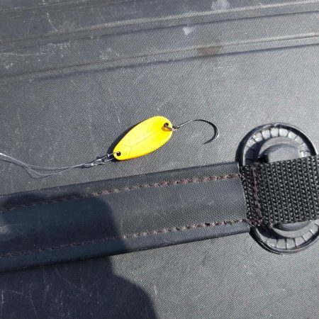 小島養魚場でトラウトサーモン狙い☆