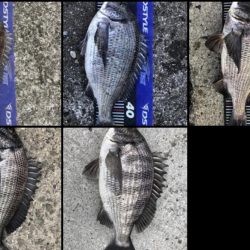 イチノ兄弟、釣果!