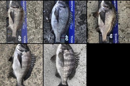 イチノ兄弟、釣果!