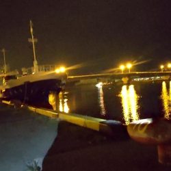 小ぶりのアナゴ