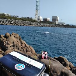 フカセ‥最高ですネ・・