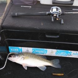 北山田連日の50オーバー