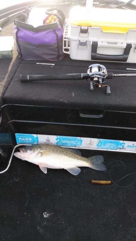 北山田連日の50オーバー