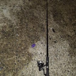 アジ狙い！　幸先は良かったのですが。。。　