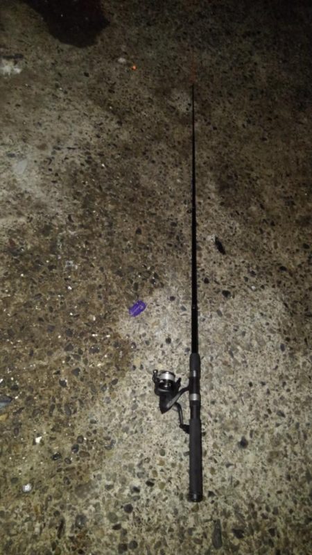 アジ狙い！　幸先は良かったのですが。。。　