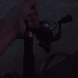 アジ1本狙い！！　久々の入れ食い！アミエビをもっと溶かしておくんやった。。。