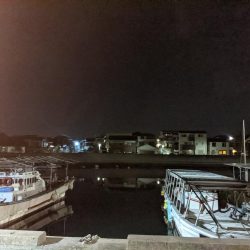 ほんの少しだけ