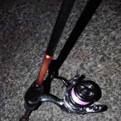 初ブルーバック!