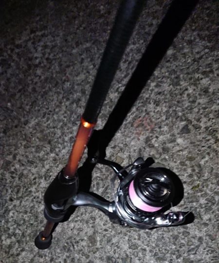 初ブルーバック!