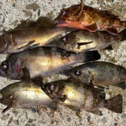 フロートメバリング