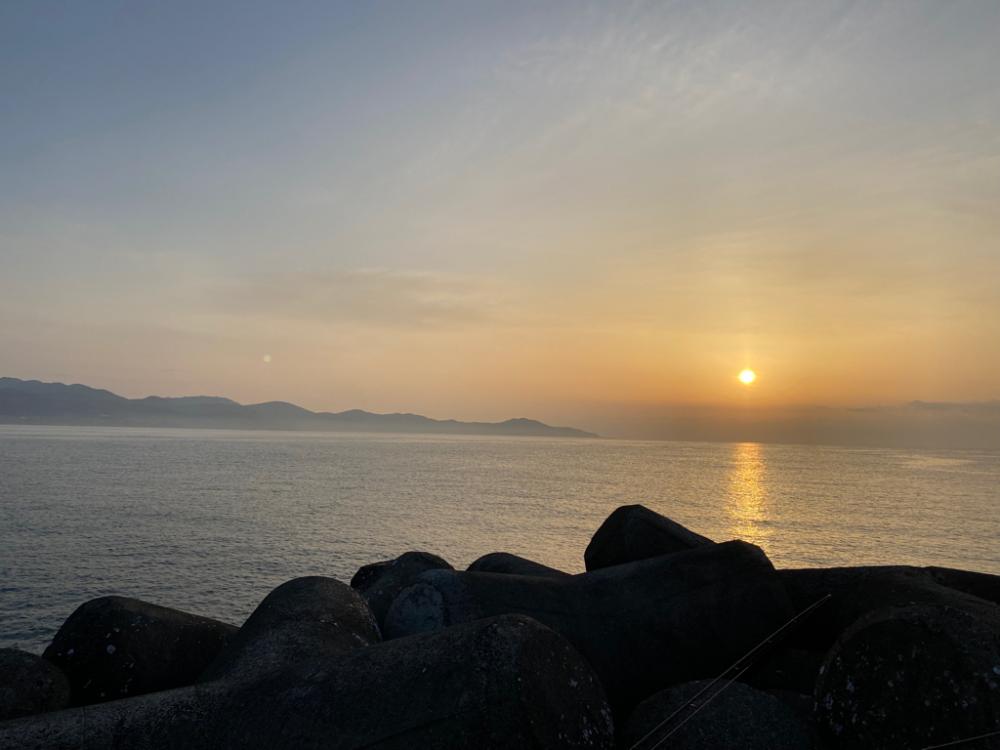 青物はいなくなったと思ったら…(笑)