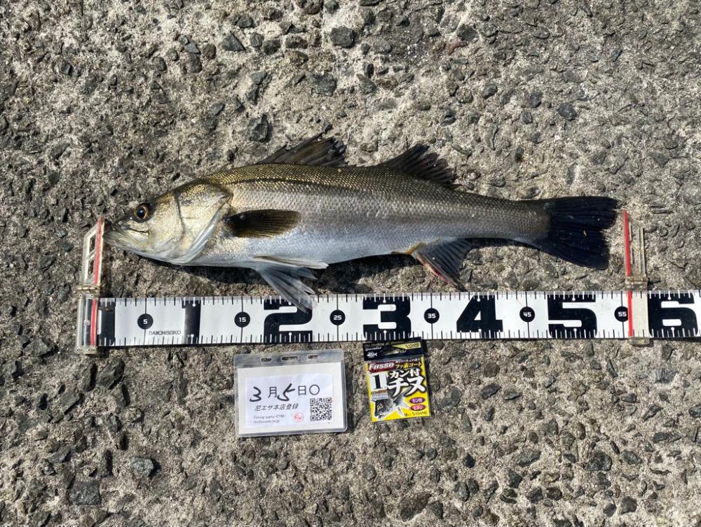 ★エビ撒きグランプリ　3月 ②