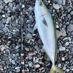 ジャックアイTGスイムをメジロが丸のみ