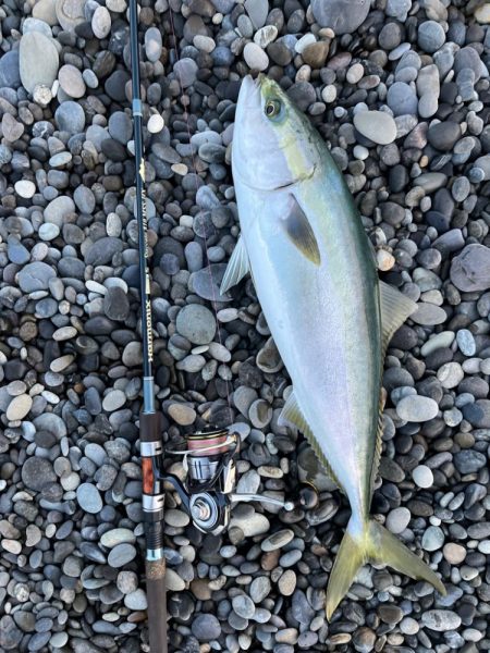 ジャックアイTGスイムをメジロが丸のみ