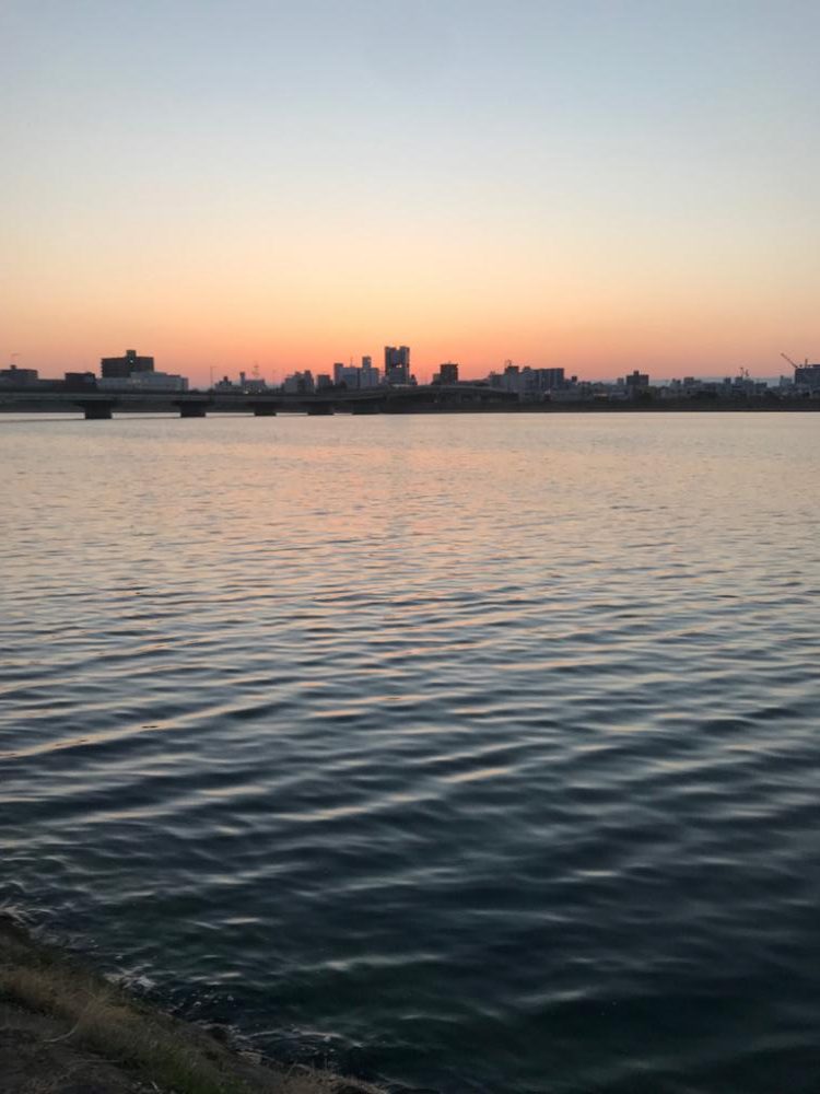 イナっこパターン❗️