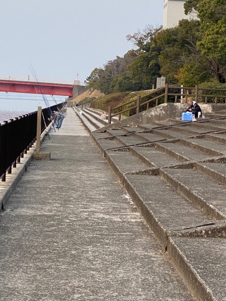 花見カレイ釣り
