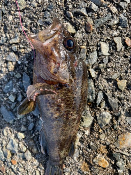 厳しい穴釣り#9