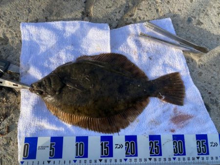 花見カレイ狙い　投げ釣り