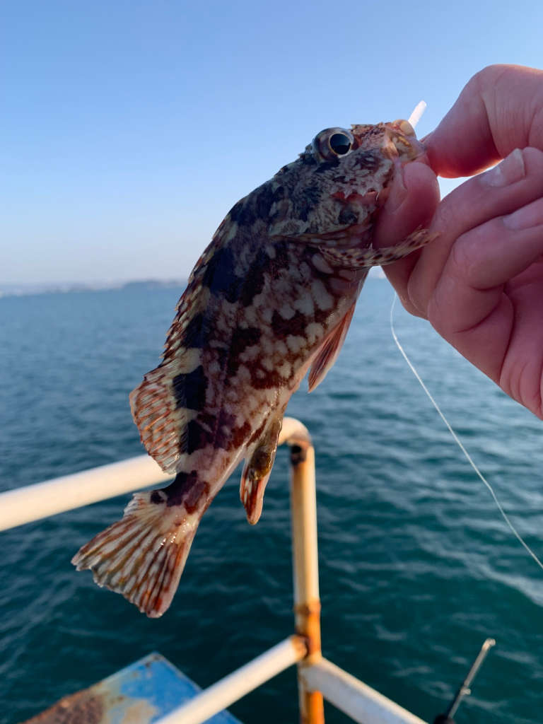 朝はまだまだ寒いです