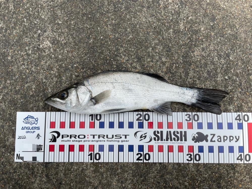 2ヶ月ぶりの釣果