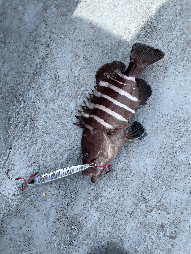 徳島沖ジギング