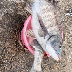 スランプ脱出⁇