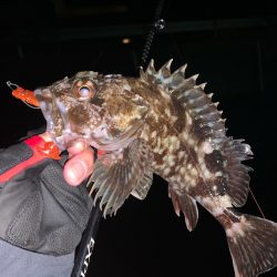 ボトム調査へ〜