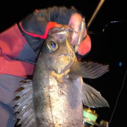 満足すぎたナイト釣行…