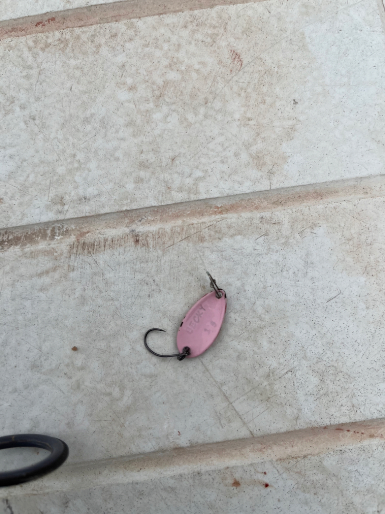 服部フィッシングパーク