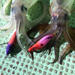 ネオグローのビッグアイで釣れ続くイカメタル