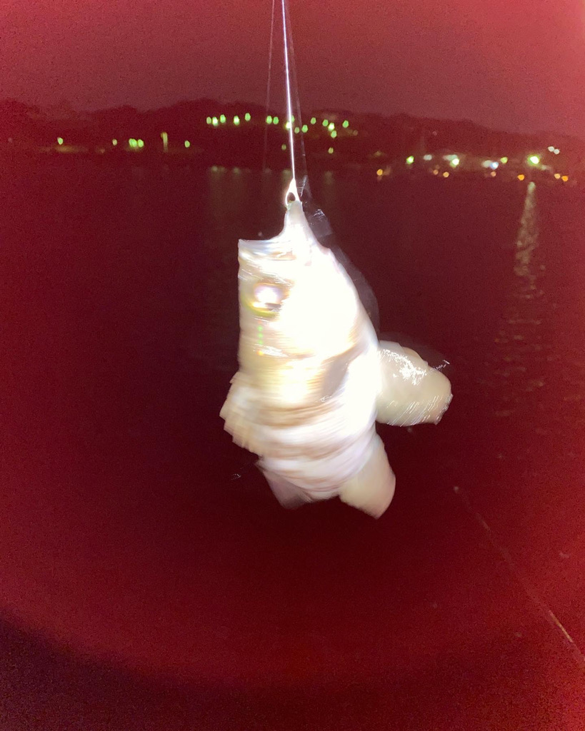 メバルも春の陽気に誘われて