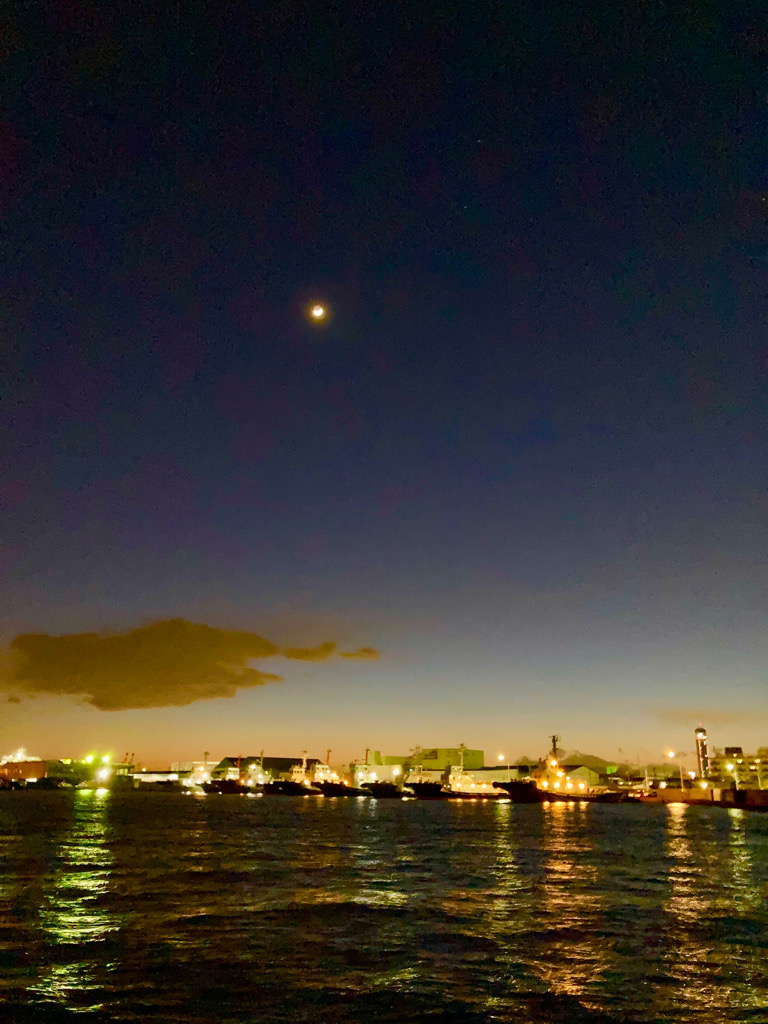 強風の中、何とか一匹