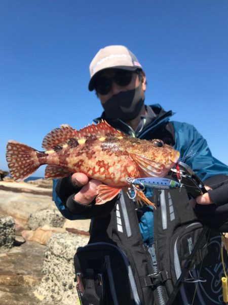 沖磯のジグパラダメージ鱗と餌木蔵ベイトフェザー