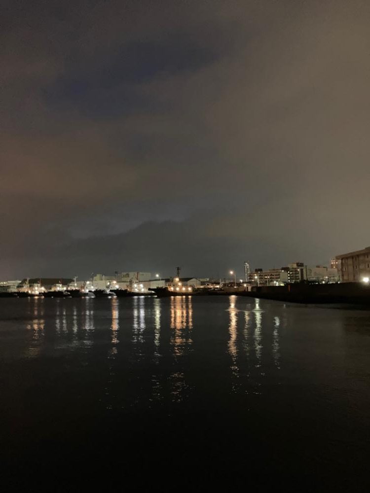 激しいエラ洗い