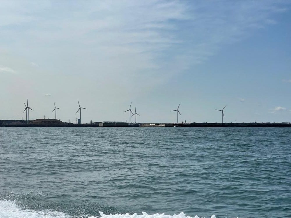 鹿島沖、ヤリイカ