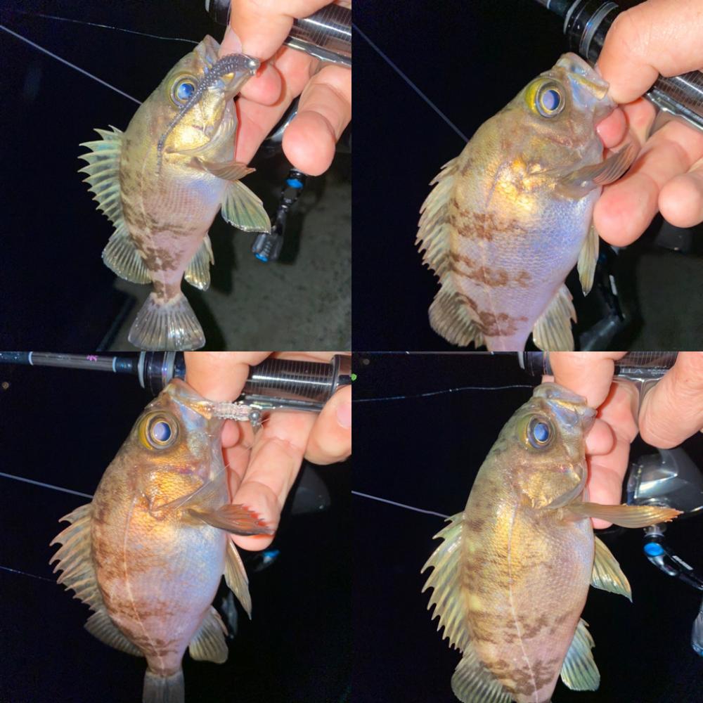 激浅の場所でメバリング