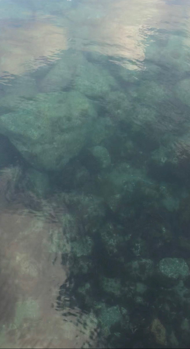 激渋ヤリイカ釣り