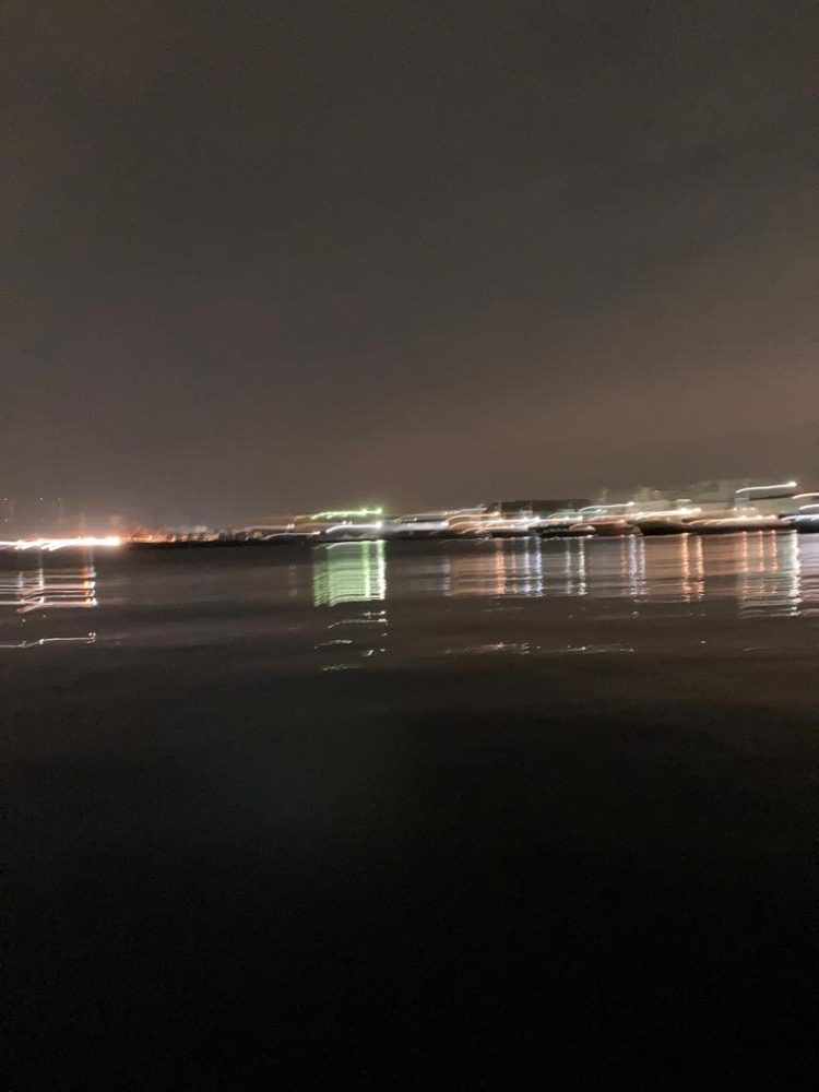 アジサイズのシーバス