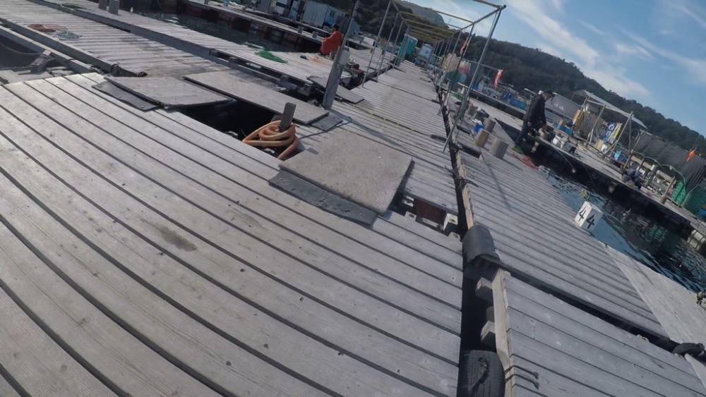 サーモンコーナー